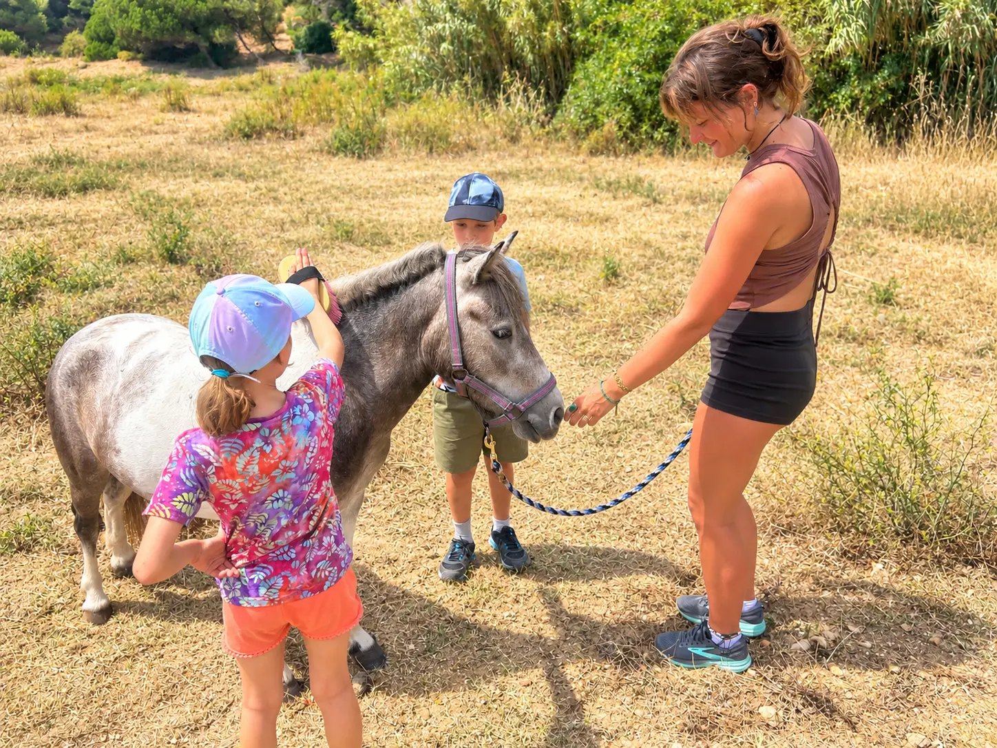 Children grooming a pony on the meadow